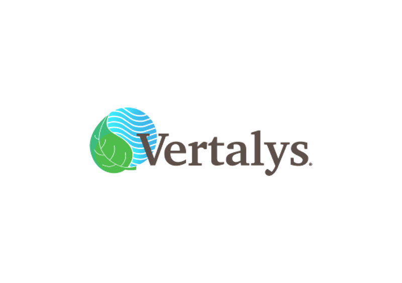 Création logo Vertalys